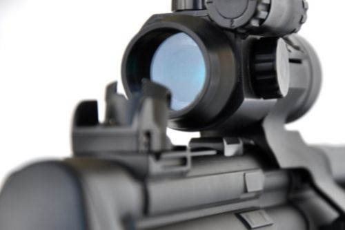 sight